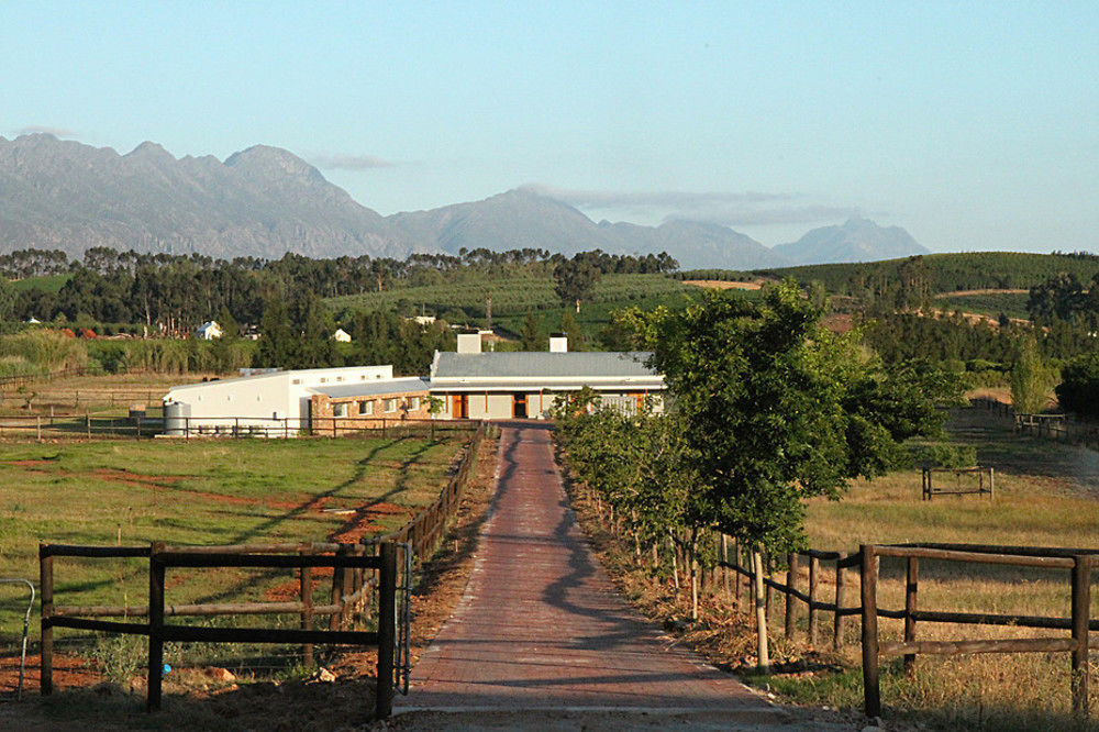 Galloway Guest House Robertson Buitenkant foto